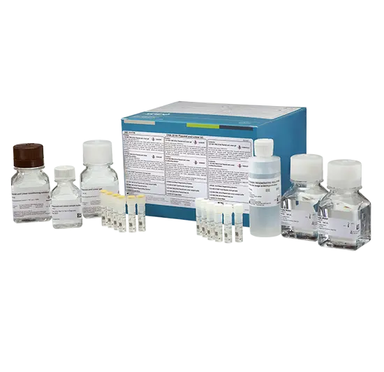DNA 20 kb Plasmid and Linear kit