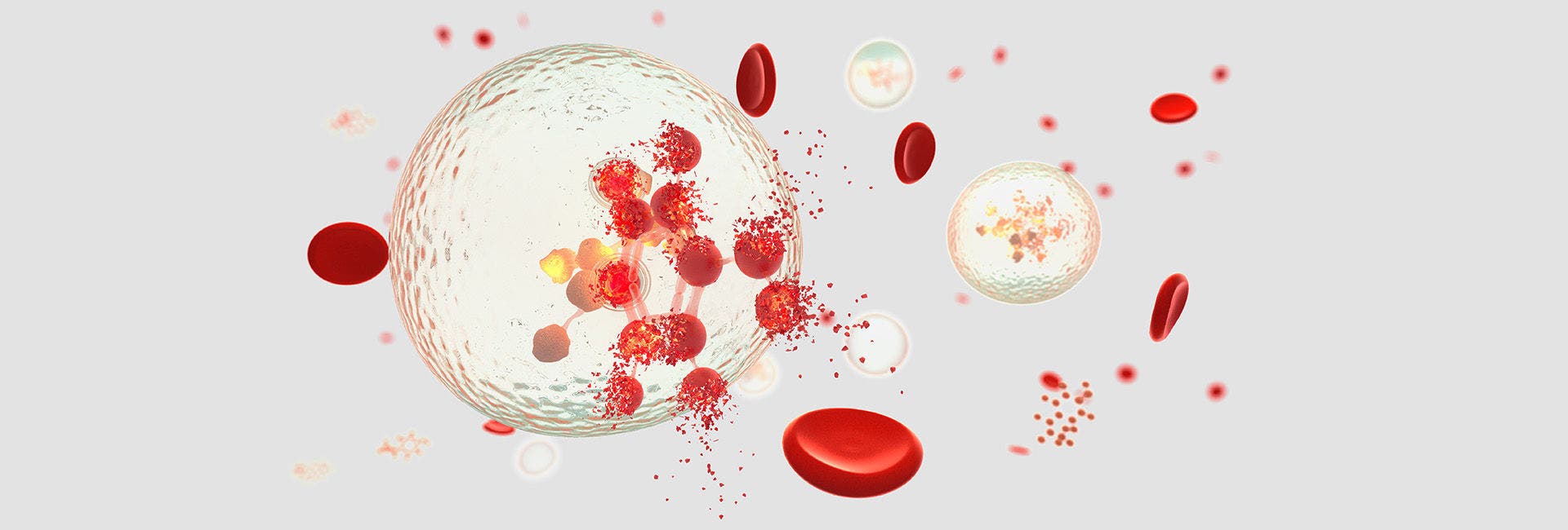 ADME-Tox and DMPK