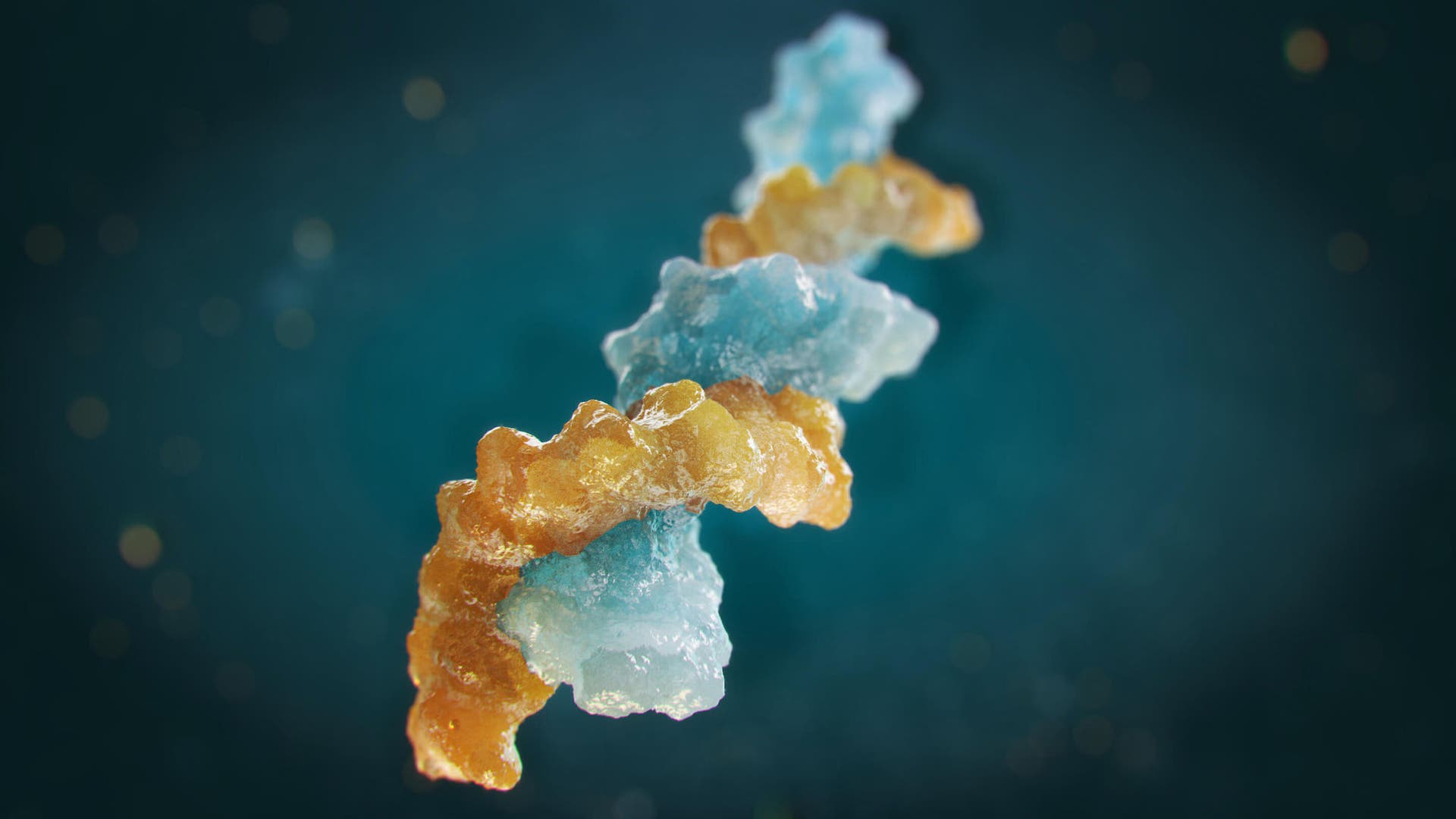Oligonucleotide analysis