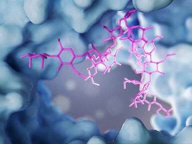Glycan analysis
