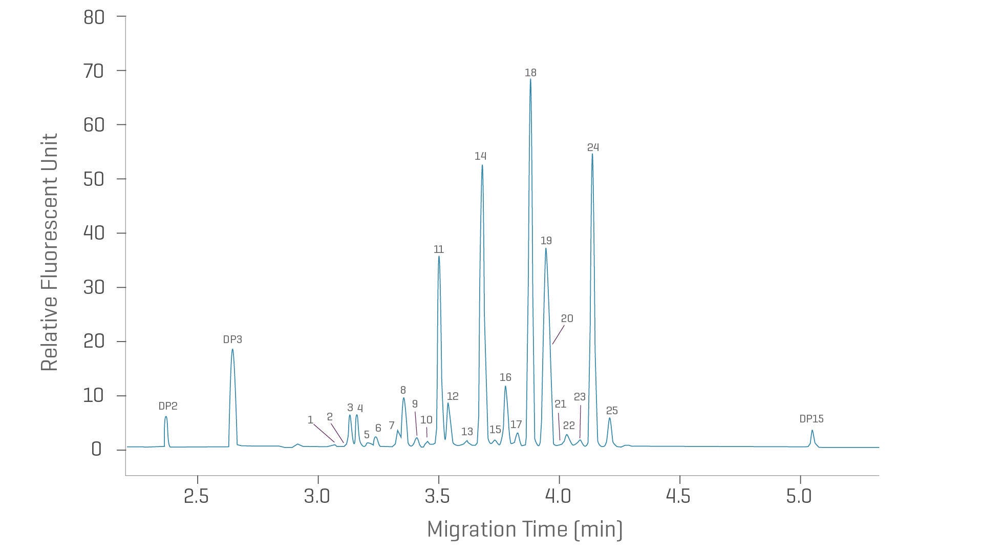 Fast glycan