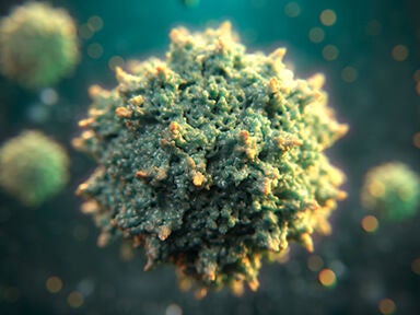 PA 800 Plus Pharmaceutical Analysis System