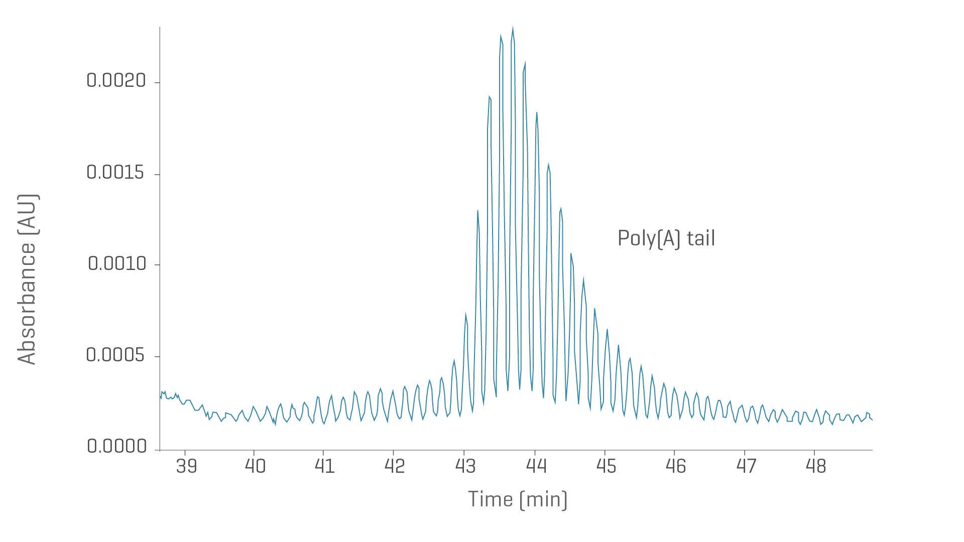 Poly (A) size and distribution