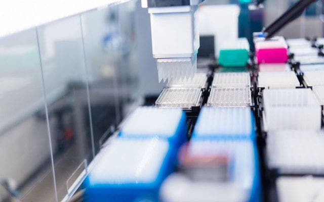 Lab samples in trays