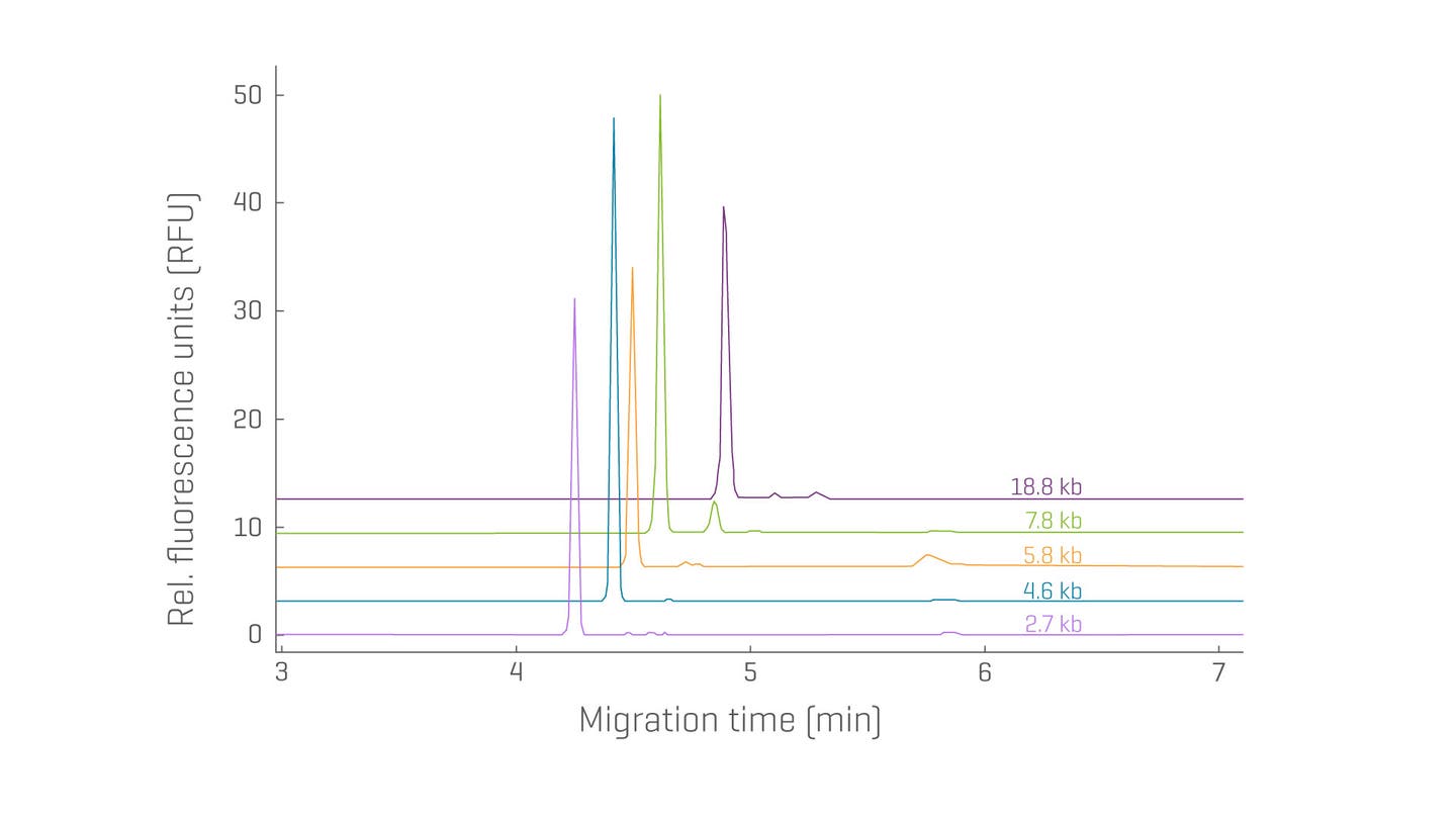 DNA 20 kb Plasmid and Linear kit