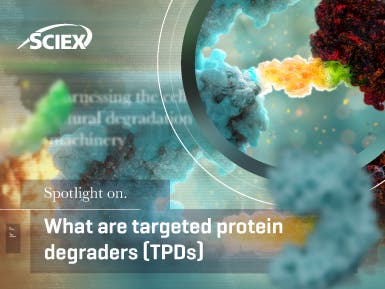 Targeted protein degraders