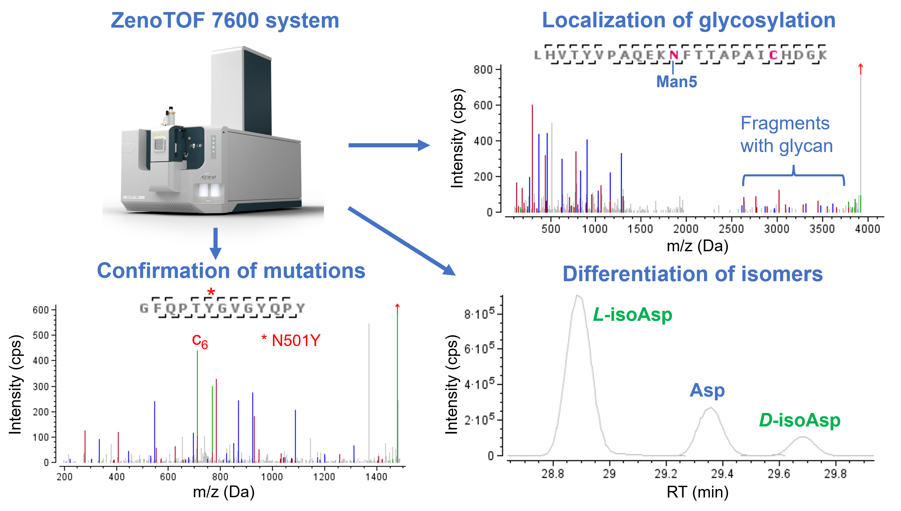 Comprehensive characterization of SARS-CoV-2 spike protein and its ...