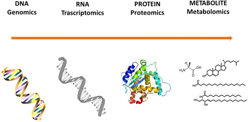 Untargeted metabolic profiling of human urine samples