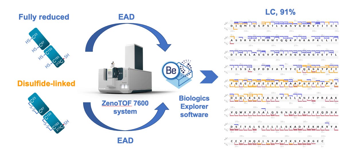 Achieving ultrahigh sequence coverage and high-confidence disulfide ...