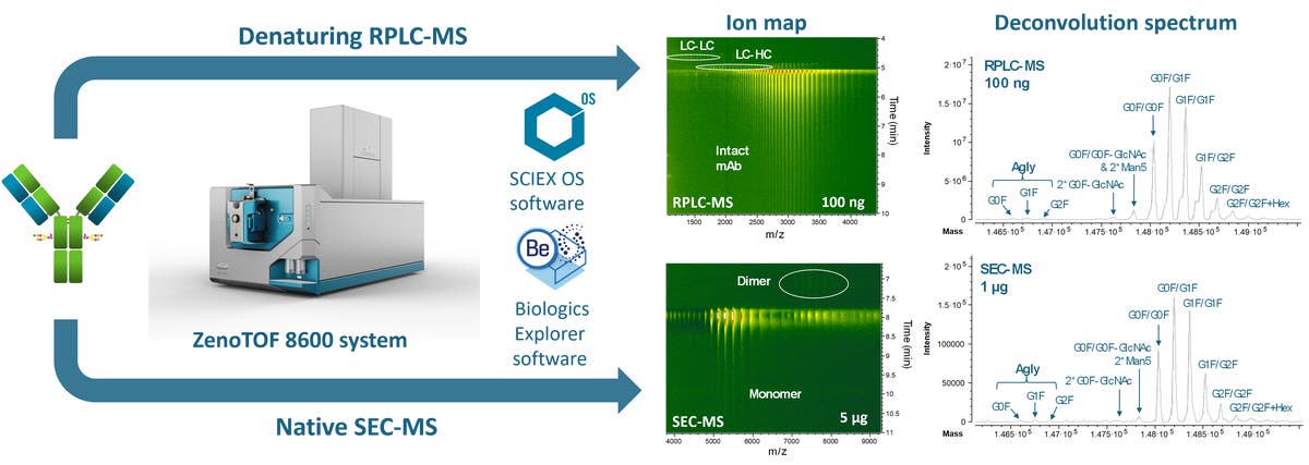 Enhanced sensitivity of intact LC-MS approaches to expand the