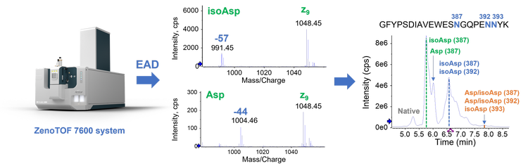 comprehensive-differentiation-of-deamidation-isomers-from-forced