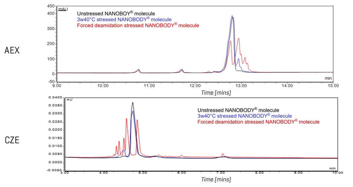 Capillary zone electrophoresis (CZE) separation of charge isoforms of ...