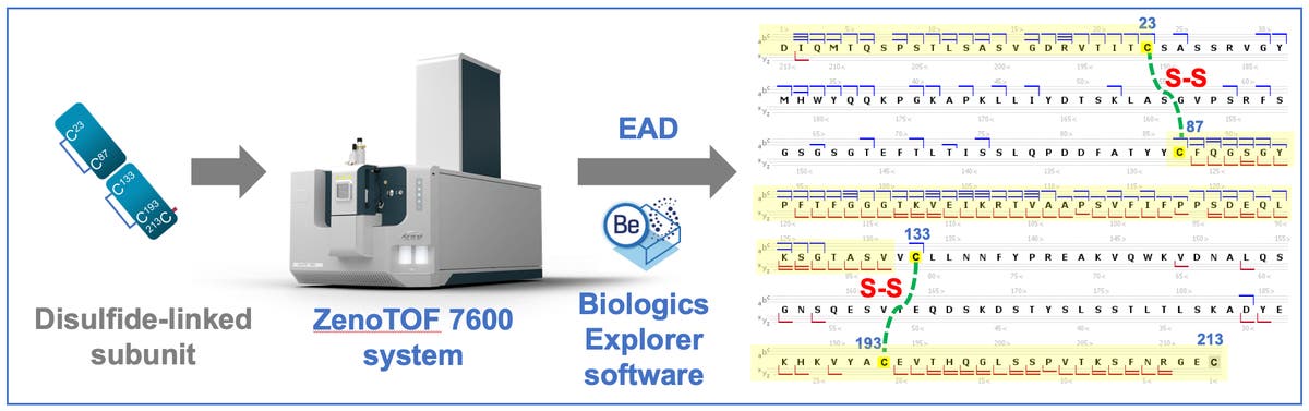 High-confidence disulfide bond mapping of biotherapeutics using an ...