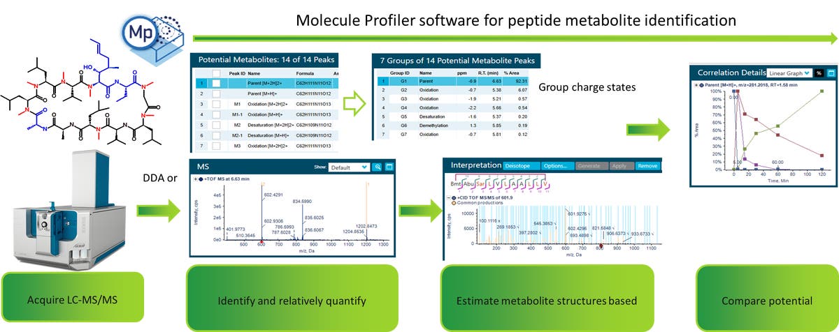 Rapid and comprehensive metabolite identification of cyclic peptides