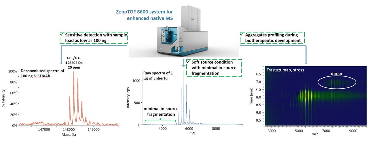 Native mass spectrometry analysis of biotherapeutics and
