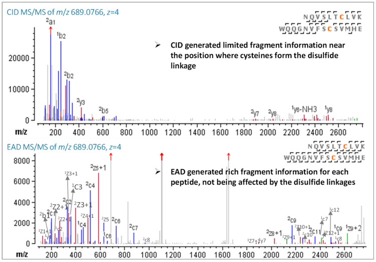 Comprehensive mapping of disulfide linkages in etanercept using an ...