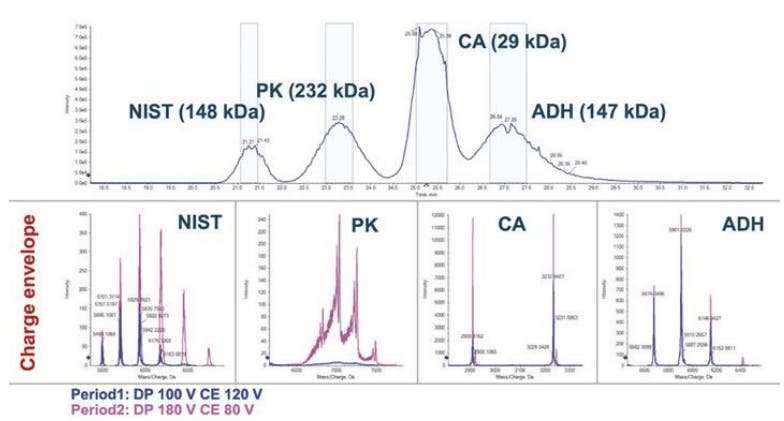 Native CZE-MS of proteins and protein complexes using a neutral