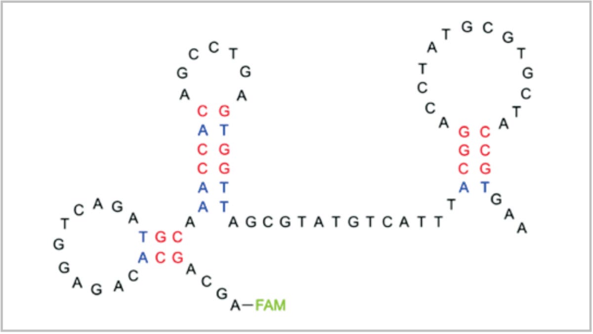 d@sllerさま専用Determination Vol.1 .2 set Sendix F3678 Encoders Absolute singleturn Product details