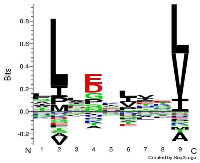 Immunopeptidomics using the ZenoTOF 7600 system