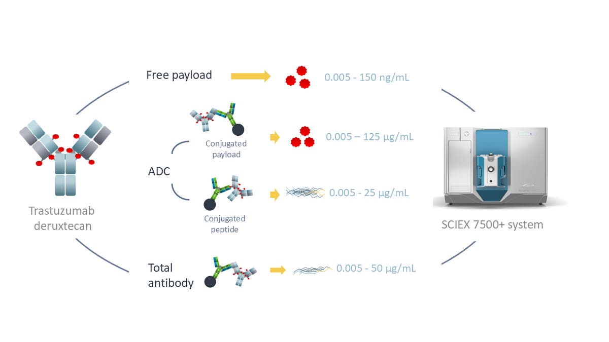 Comprehensive LC-MS workflows for antibody drug conjugate (ADC