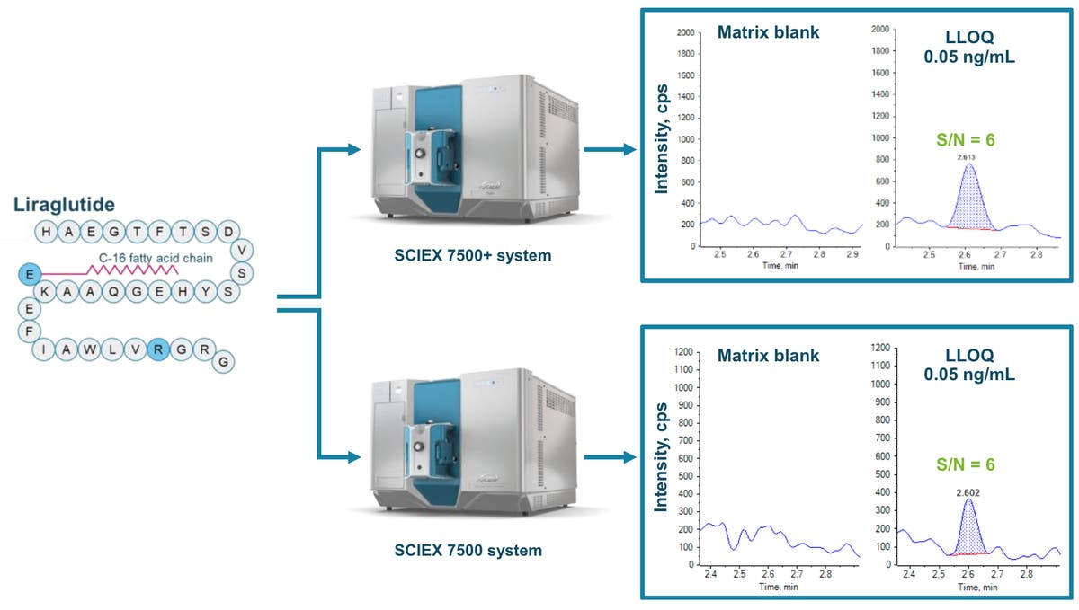 新リスト全集Suppl Ⅲ  TECHNICAL STUDIES 3EMB 新リスト全集Suppl Ⅲ TECHNICAL STUDIES 3EMB 新リスト全集